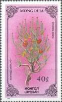 (1986-041) Марка Монголия "Хвойник китайский"    Лекарственные растения III Θ