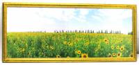 Картина "Подсолнухи", деревянная рама, стекло, размер 34*79 см., (сост. на фото)