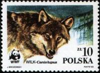 (1985-018) Марка Польша "Волк серый"    Всемирный фонд природы III Θ