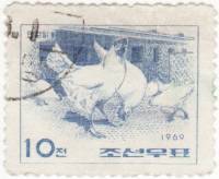 (1969-029) Марка Северная Корея "Куры"   Домашние птицы III Θ