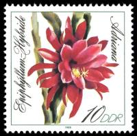 (1989-067) Марка Германия (ГДР) "Адриана"    Кактусы II O