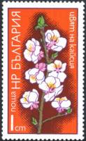 (1975-001) Марка Болгария "Абрикос"    Цветы фруктовых деревьев II Θ