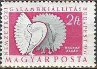(1957-027) Марка Венгрия "Павлиний голубь"    Международная выставка голубей, Будапешт III Θ