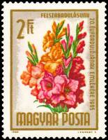 (1965-030) Марка Венгрия "Гладиолус"    20-я годовщина освобождения. Букеты цветов II Θ