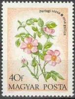 (1973-84) Марка Венгрия "Шиповник французский"    Полевые цветы I Θ