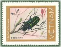 (1977-022) Марка Вьетнам "Пятнисто-зеленый усач"   Жуки III Θ