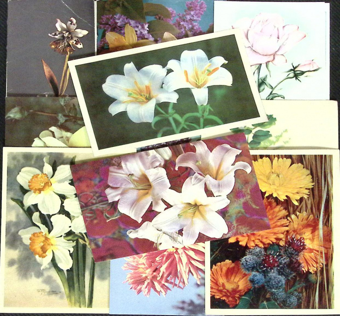 Набор открыток &quot;Цветы&quot;, ассорти,   14 шт.