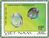 (1981-001a) Марка Вьетнам "Дискус голубой"  Без перфорации  Декоративные рыбки III Θ