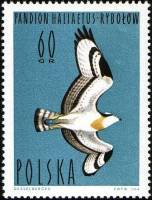 (1964-036) Марка Польша "Скопа"   Водоплавающие птицы I Θ