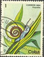 (1984-071) Марка Куба "Кубинская улитка"    Фауна III Θ