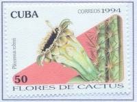 (№3769) Марка Куба 1994 год "Pilocereus robinii", Гашеная