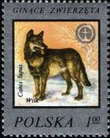 (1977-022) Марка Польша "Волк"    Редкие животные III Θ