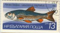(1983-005) Марка Болгария "Голавль"   Пресноводная рыба III Θ