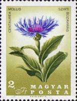 (1967-005) Марка Венгрия "Василёк горный" ,  III O