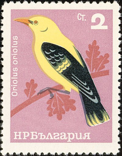 (1965-022) Марка Болгария "Иволга"   Певчие птицы II &Theta;