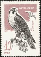 (1965-137) Марка СССР "Сапсан"    Хищные птицы II O