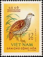 (1963-031) Марка Вьетнам "Китайский фазан"   Птицы III Θ