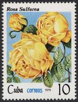 (1979-061) Марка Куба "Шиповник полушаровидный"    Розы III O