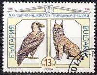 (1989-078) Марка Болгария "Гриф и рысь"   Музей естественных наук, 100 лет III Θ