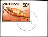 (1988-079a) Марка Вьетнам "Епископская митра"  Без перфорации  Раковины молюсков III Θ