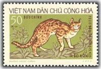 (1973-003) Марка Вьетнам "Бенгальская кошка"   Дикие животные III Θ