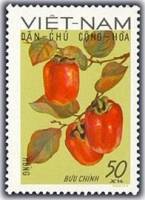 (1969-031) Марка Вьетнам "Хурма"   Фрукты III O