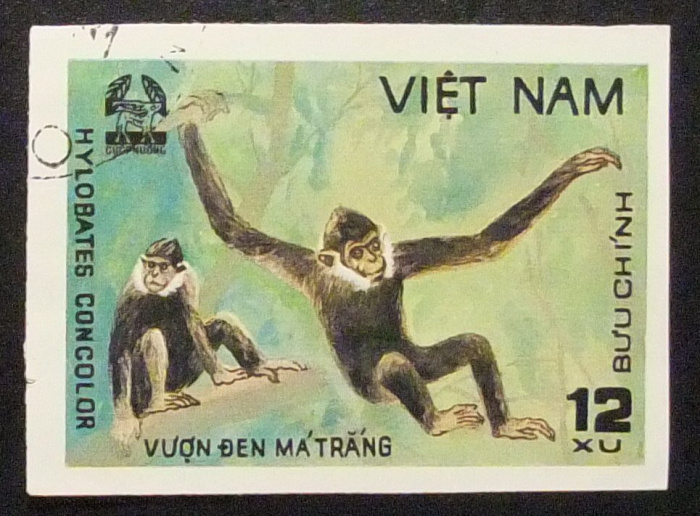 (1981-012a) Марка Вьетнам &quot;Чёрный хохлатый гиббон&quot;  Без перфорации  Животные парка Кук Пхонг III Θ