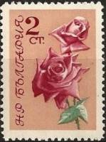 (1962-030) Марка Болгария "Роза (Розовый, оранжевый)"   Розы III Θ