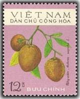 (1975-016) Марка Вьетнам "Саподилла"   Фрукты III O