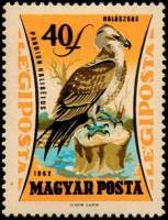 (1962-071) Марка Венгрия "Скопа"    Хищные птицы III Θ