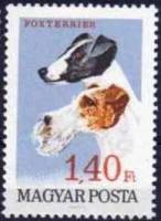 (1967-037) Марка Венгрия "Фокстерьер"    Собаки III O