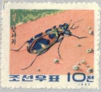 (1963-032) Марка Северная Корея "Тигровый жук"   Жуки I Θ