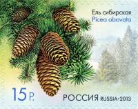 2013-027 Марка Россия Сибирской ели  Шишки деревьев и кустарников III O