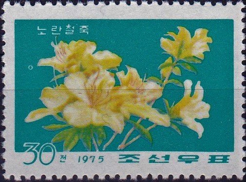 (1975-076) Марка Северная Корея &quot;Желтый рододендрон&quot;   Цветы III Θ