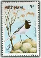 (1986-055) Марка Вьетнам "Белая Трясогузка "    Птицы III Θ
