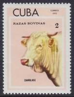 (1973-042) Марка Куба "Шароле"    Крупный рогатый скот II Θ