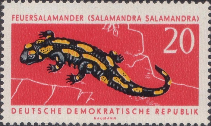 (1963-047) Марка Германия (ГДР) &quot;Саламандра&quot;    Охраняемые животные III O