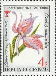 1973-081 Марка СССР Ятрышник пятнистый   Лекарственные растения III O