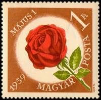 (1959-013) Марка Венгрия "Роза (Коричневая)"    День 1 Мая I Θ