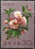 (1975-081) Марка Северная Корея "Вишня"   Цветение деревьев и кустарников III Θ