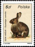(1986-008) Марка Польша "Дикий кролик"    Охотничья дикая природа III Θ