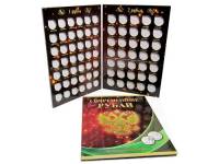 Альбом-планшет АП97-1Р-2Р под 1 и 2 руб. 1997-2014 гг. Professional. Россия, #0022072