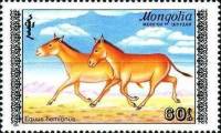 (1988-060) Марка Монголия "Два кулана"    Туркменский кулан III Θ