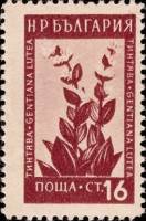 (1954-002) Марка Болгария "Горечавка жёлтая (04.03)"   Лекарственные растения Болгарии (1) III O