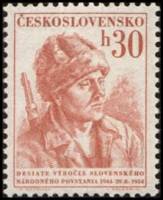 (1954-026) Марка Чехословакия "Партизан"   10-я годовщина Словацкого национального восстания II Θ