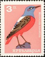 (1965-023) Марка Болгария "Дрозд"   Певчие птицы III Θ
