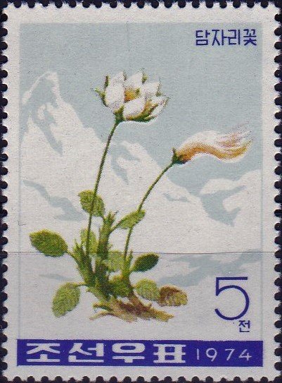 (1974-080) Марка Северная Корея &quot;Горные авены&quot;   Горные цветы III Θ
