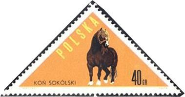 (1963-080) Марка Польша &quot;Польская тяговая лошадь&quot;   Лошади III O