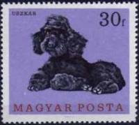 (1967-034) Марка Венгрия "Пудель " ,  III O