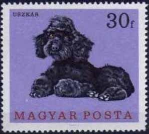 (1967-034) Марка Венгрия &quot;Пудель &quot; ,  III O